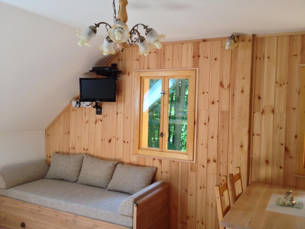Chata Hokejka Rokytnice nad Jizerou Room photo